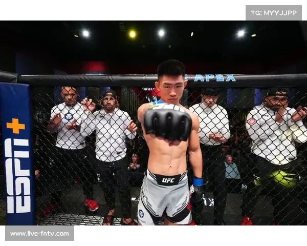 假赛游说波及多级别选手，UFC启动内部审查机制